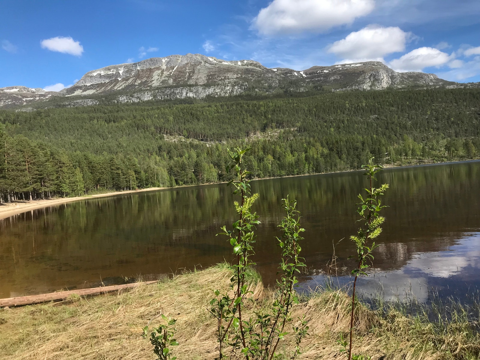 Utrolig flott badestrand. 5 min fra hytta. Galleribilde