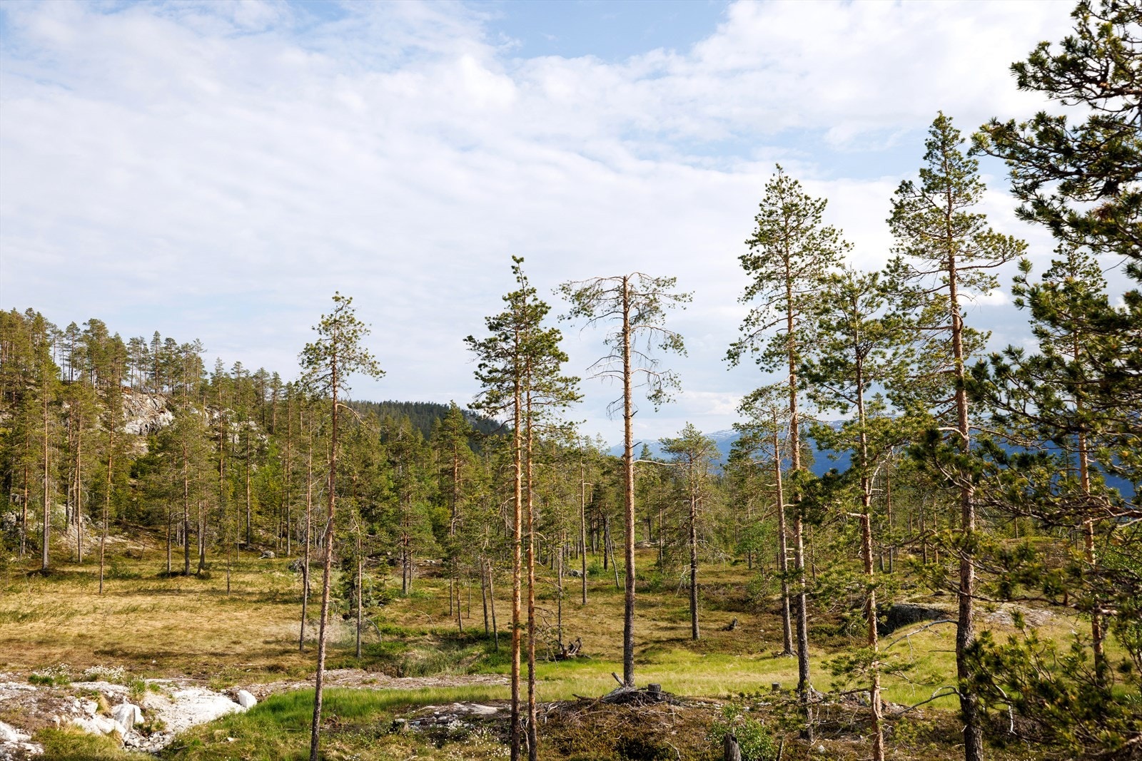 Uteområdet Galleribilde