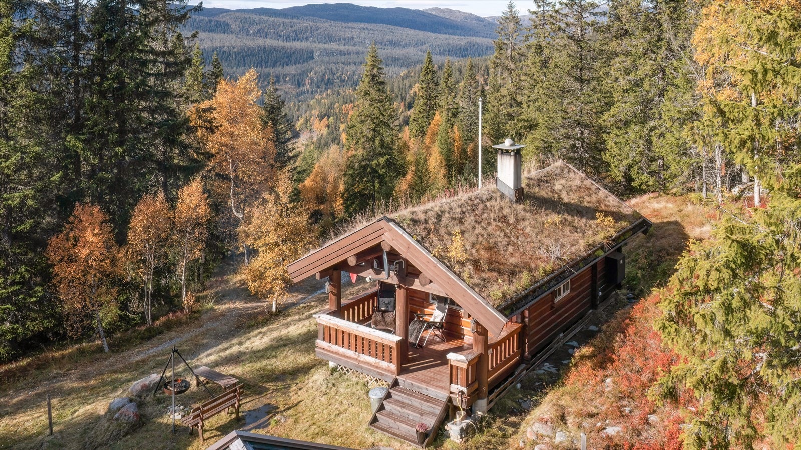 Koselig hyttetun i usjenerte omgivelser Galleribilde