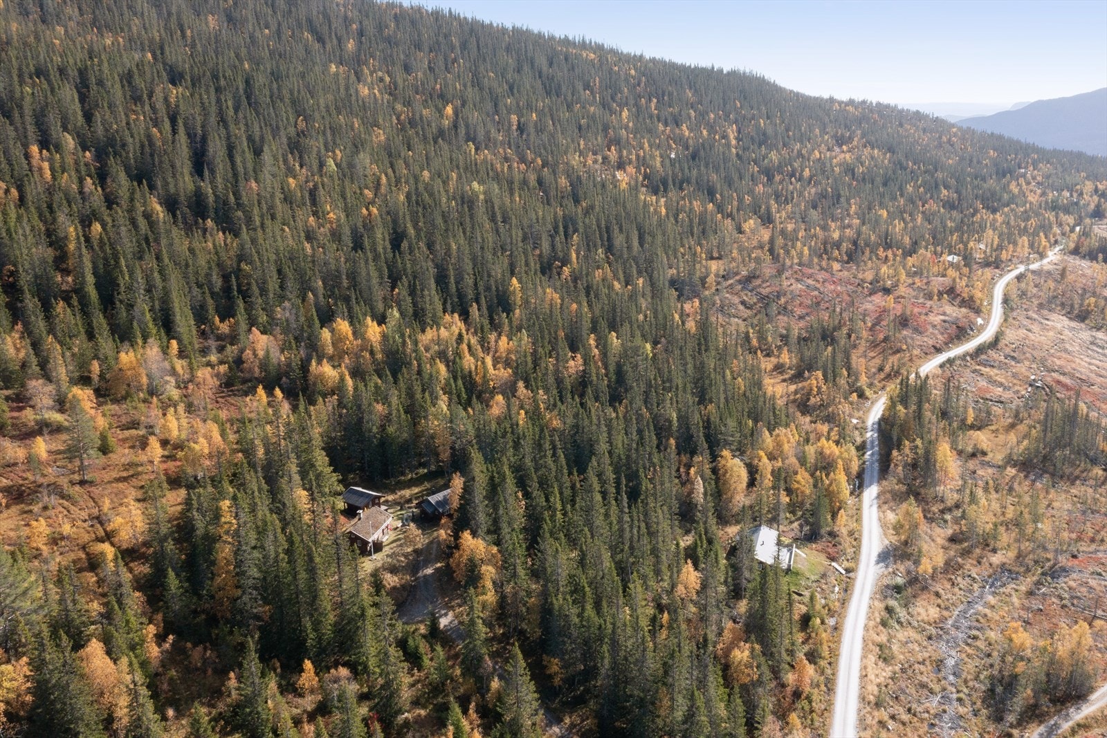 Vei helt frem til hytta Galleribilde