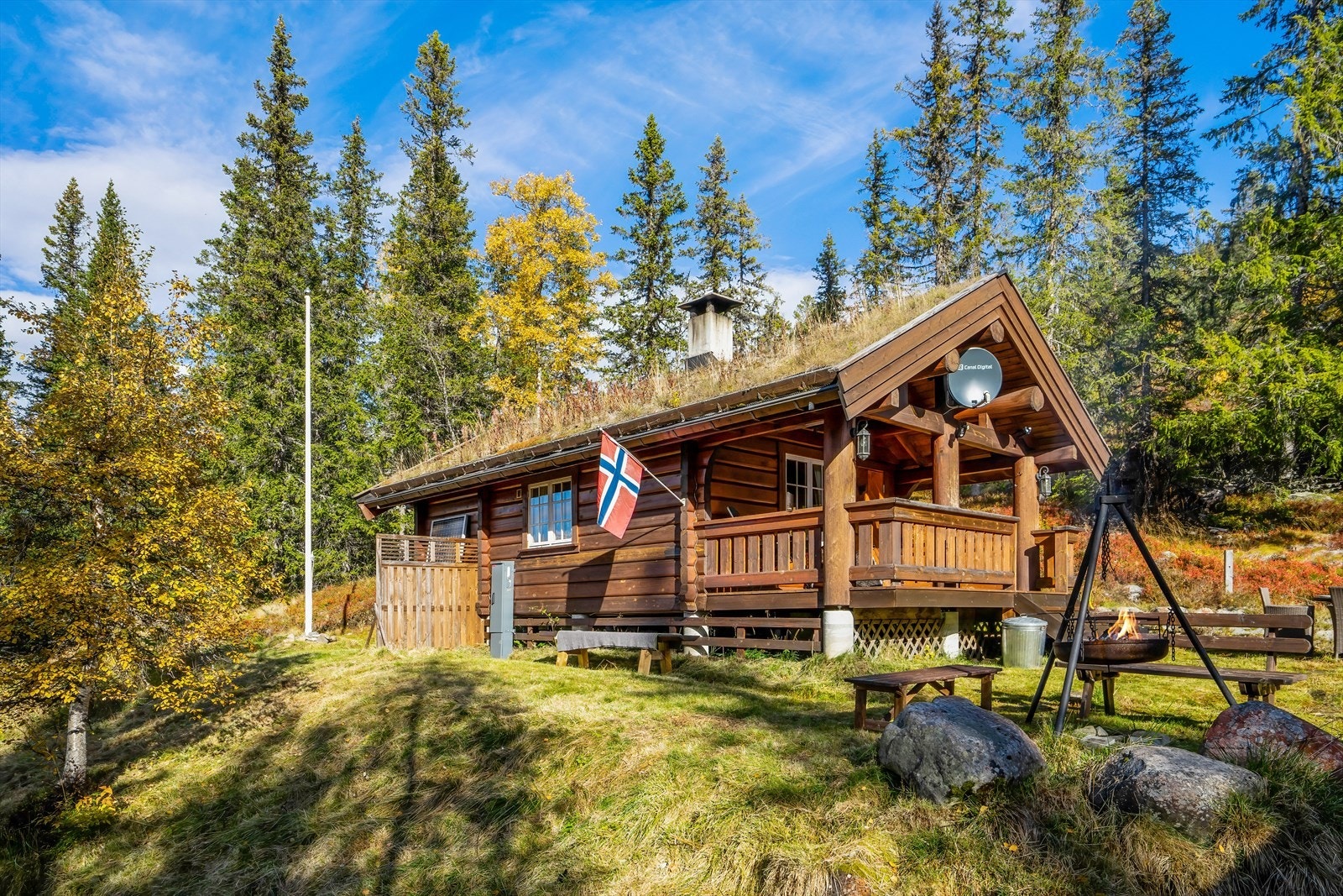 Gode solforhold og stor selveiet tomt Galleribilde