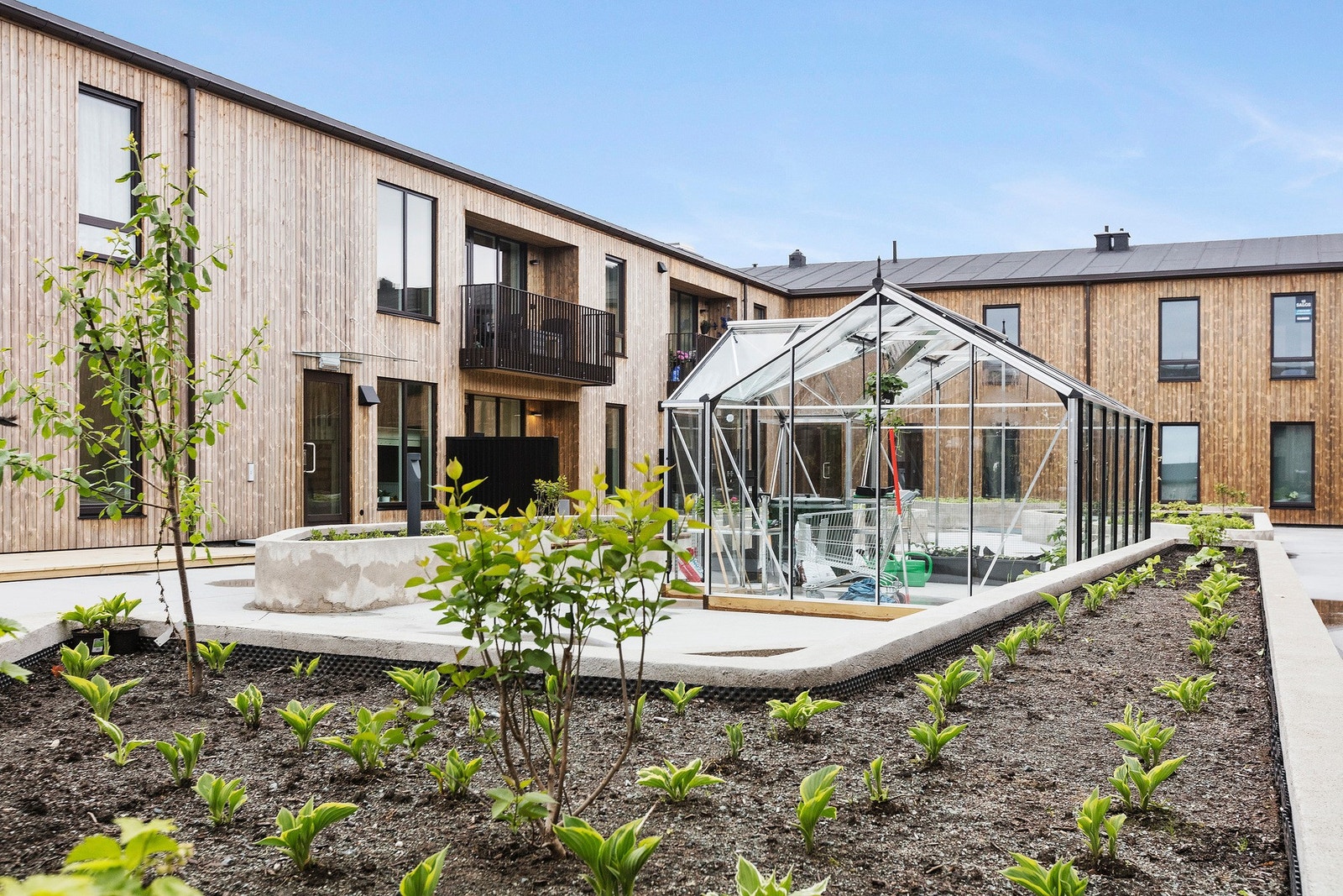 På fellesarealet er det montert et drivhus som kan brukes av beboere. Galleribilde