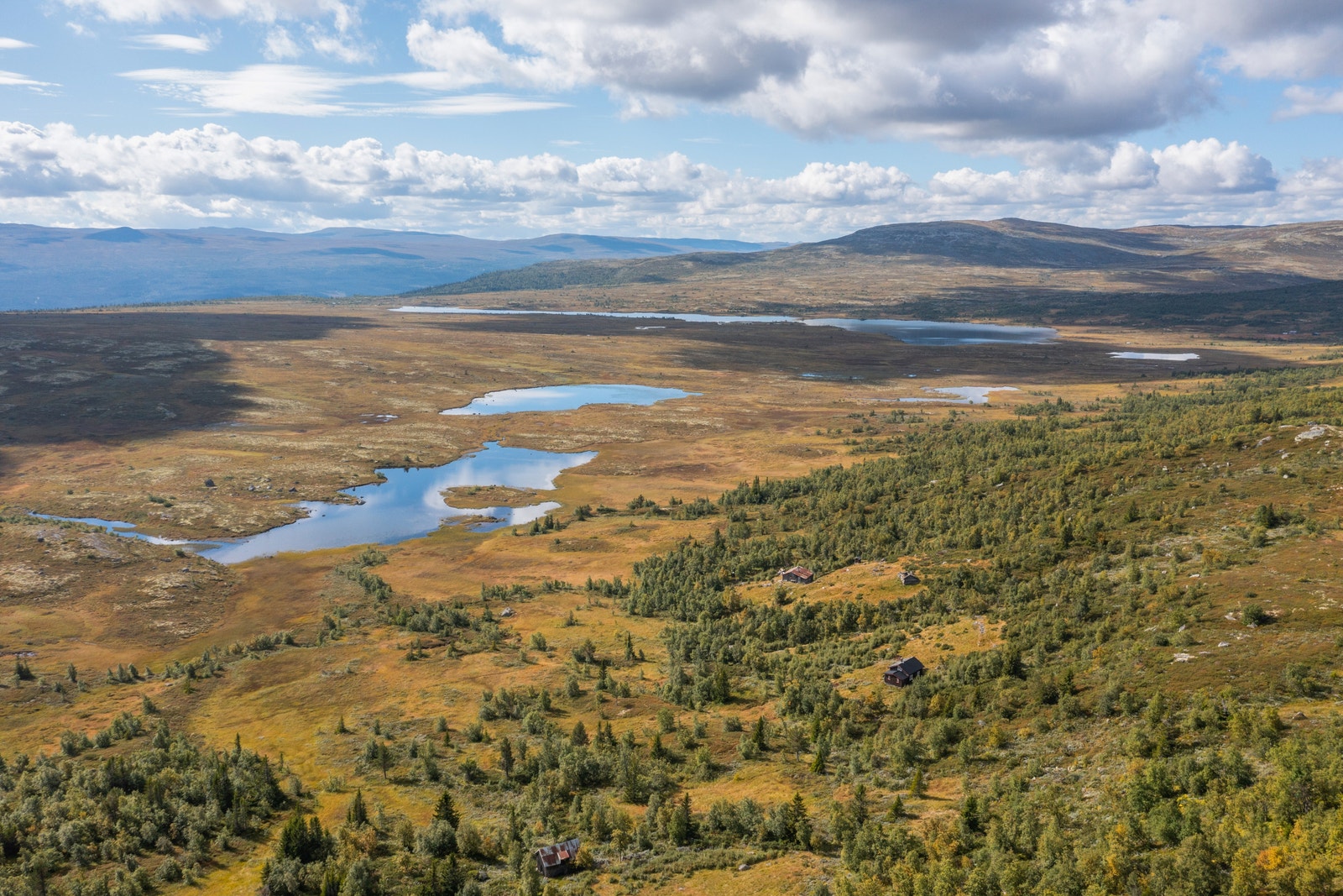 Hardangervidda er Europas største høyfjellsplata. Galleribilde