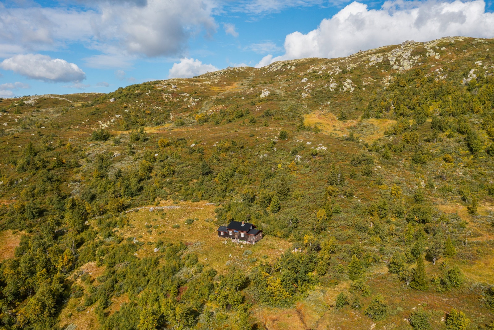 Hytte i Uvdal er for mange et enkelt valg. Her kan du oppleve utsikten over Hardangervidda. Galleribilde