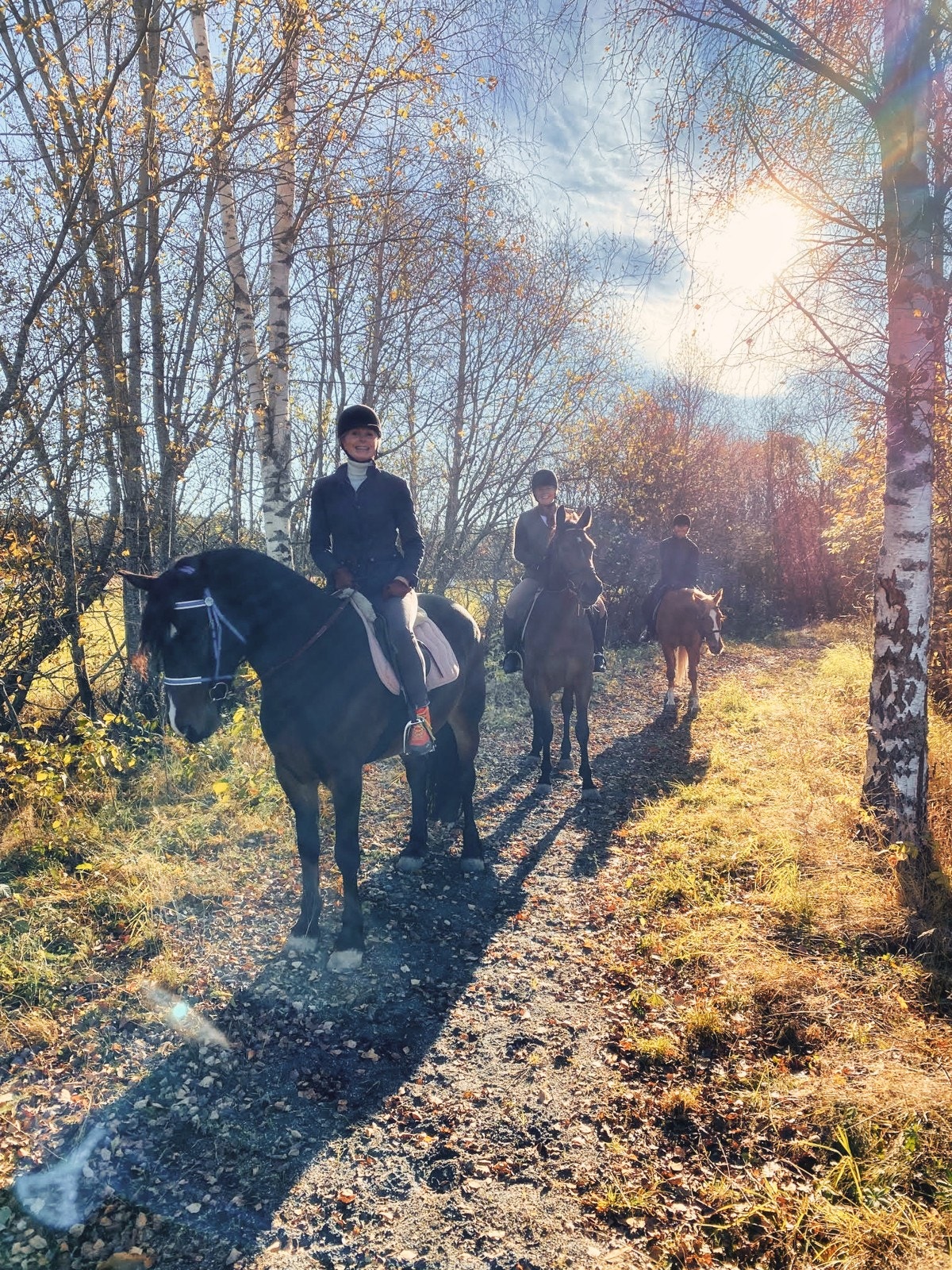 Kongsvinger har et meget godt og annerkjent miljø innenfor sprangridning og hestedressur. Kongsvinger og omegn rideklubb ligger en kort kjøretur fra eiendommen. Galleribilde