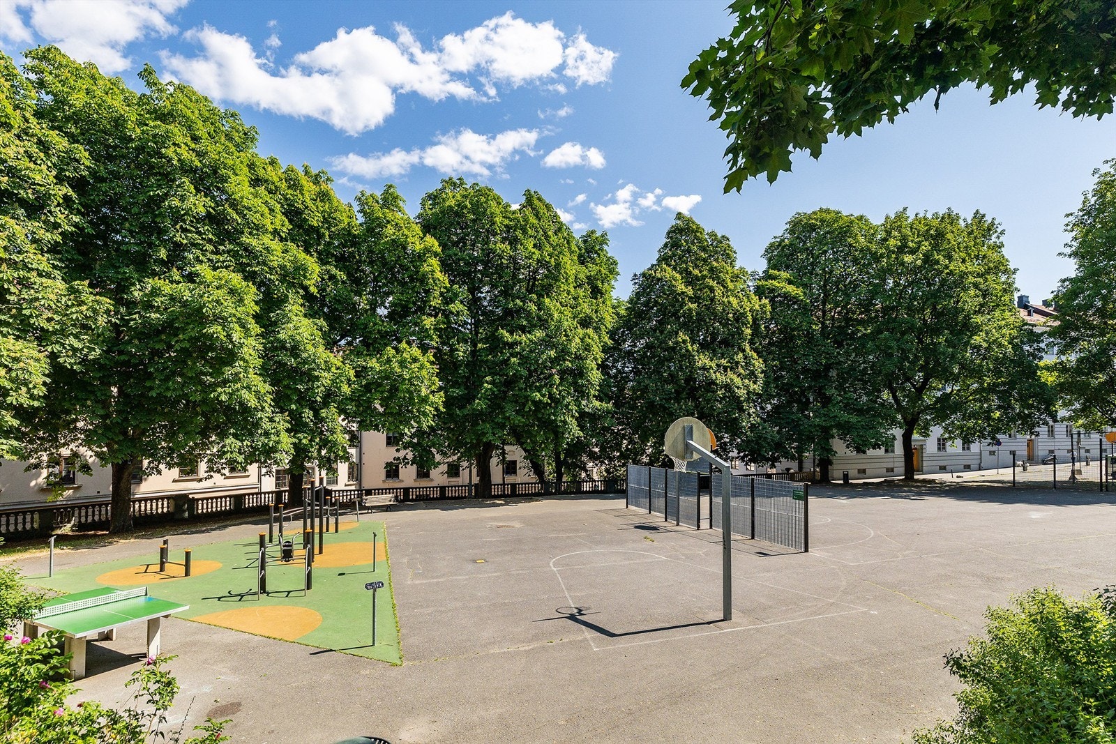 Nærområdet er fylt med ulike inntrykk. Galleribilde