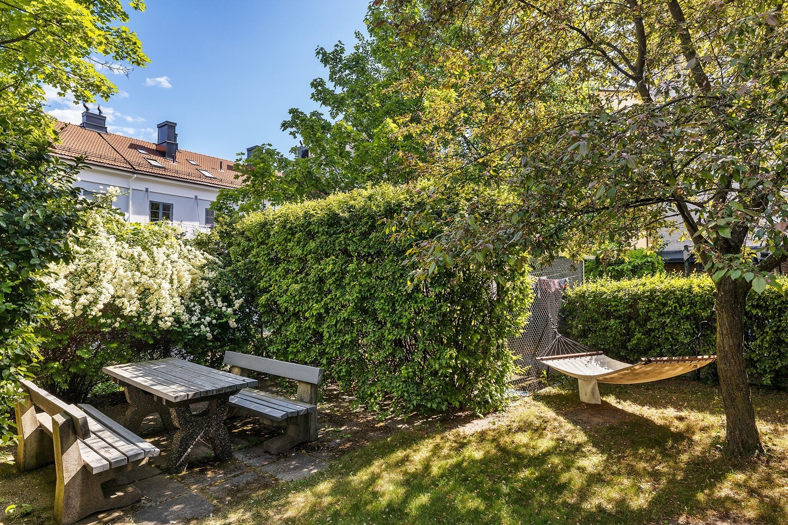 Bakgård. Galleribilde