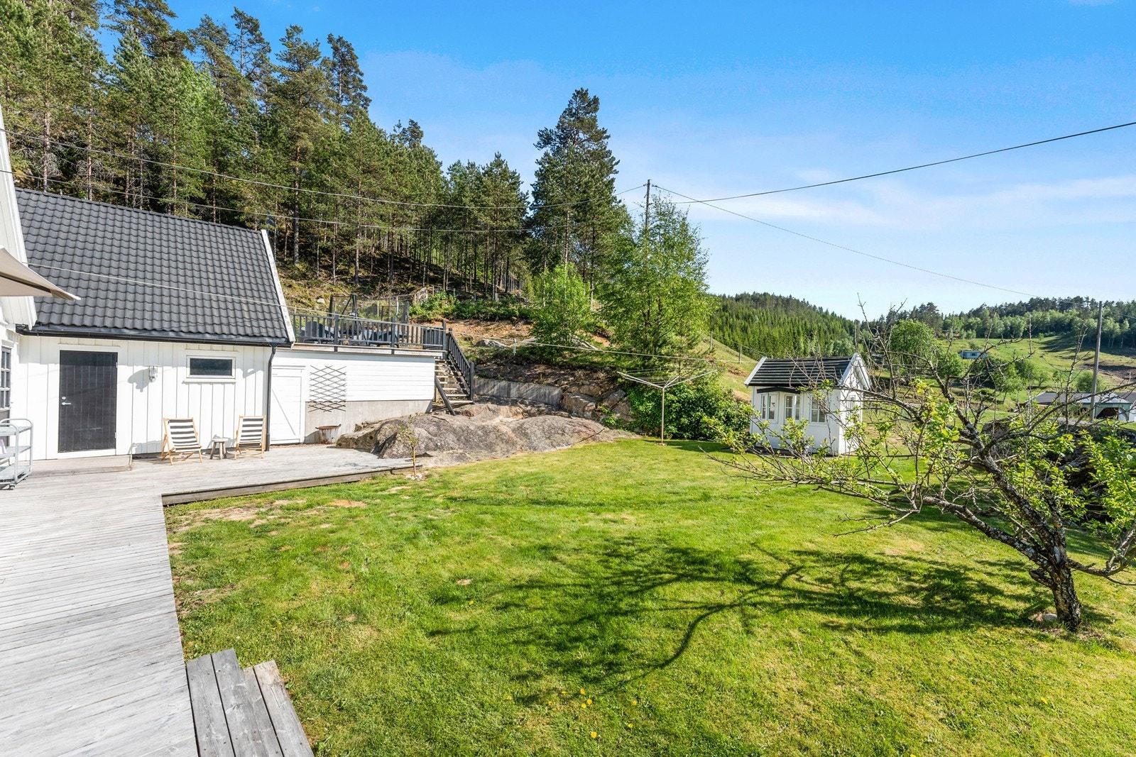hage med beplantning. Galleribilde