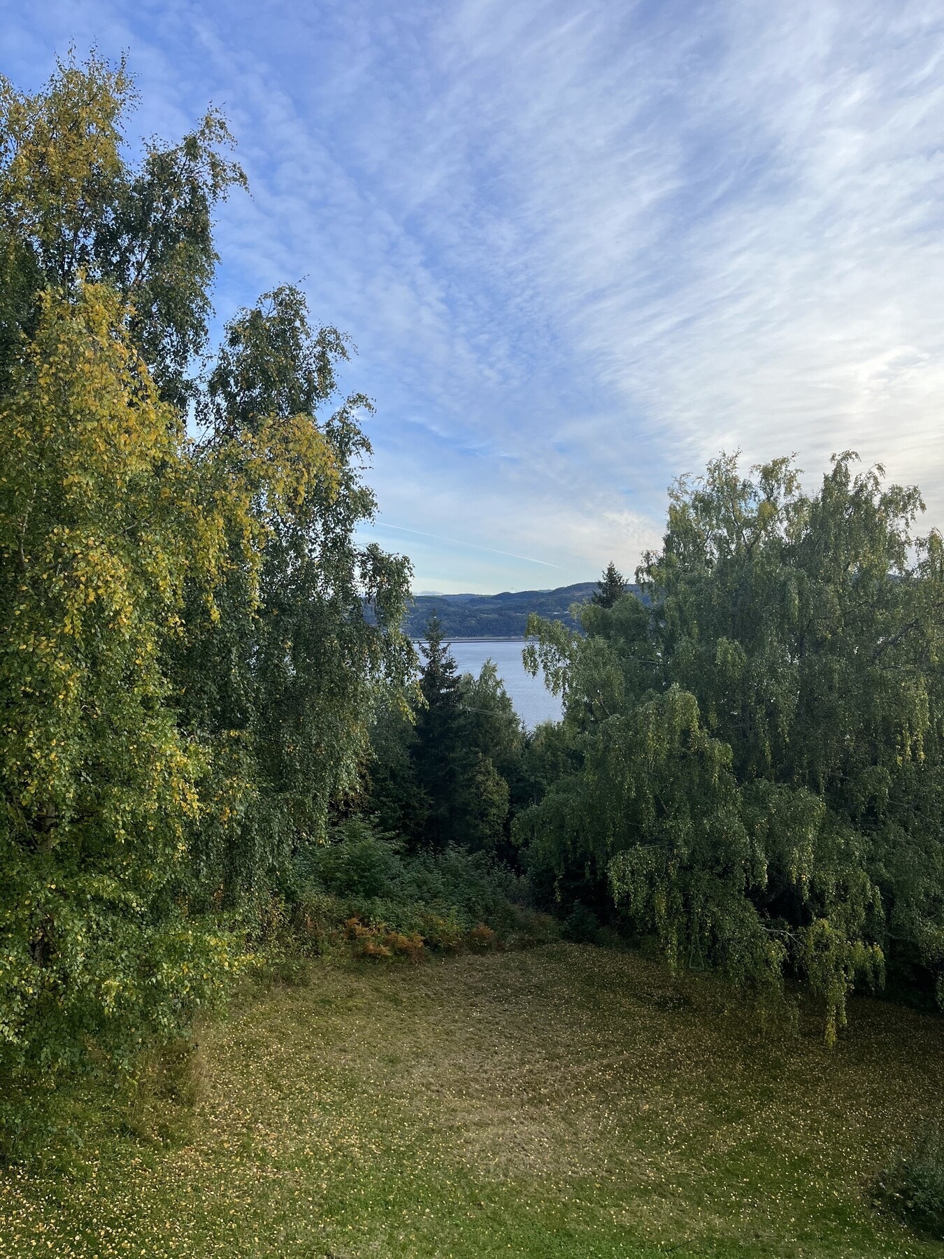 Uteområde og utsikt. Galleribilde