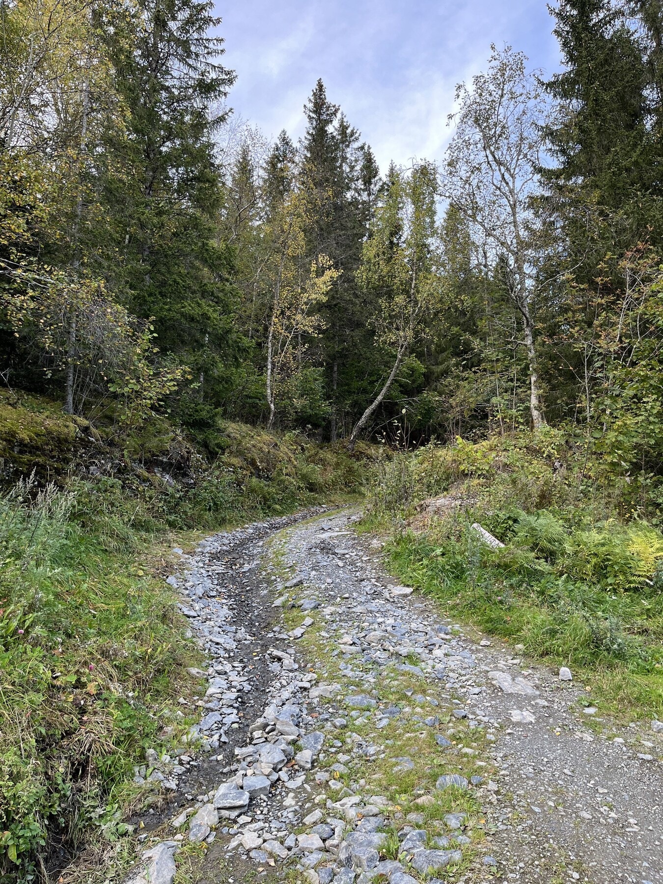 Stien opp til Ole Vig bautaen, denne går også videre til Vikåsen og over til Skardshåmmårn. Galleribilde