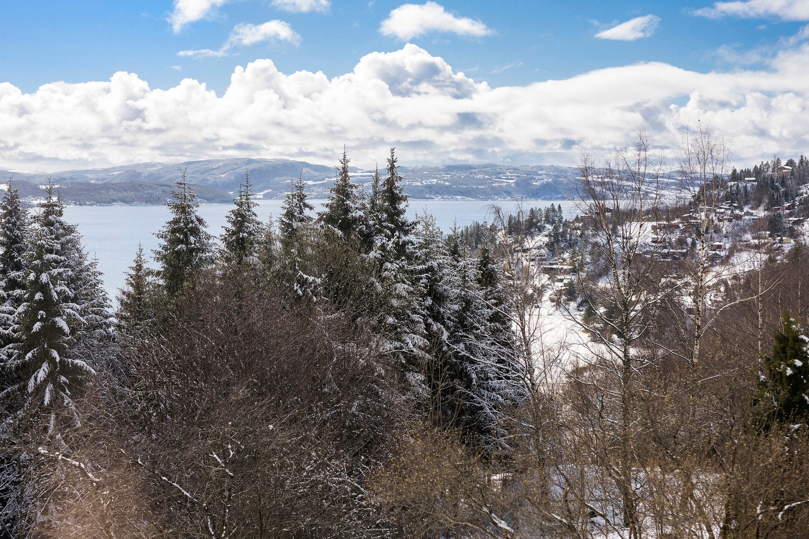 Utsikt mot fjorden. Galleribilde