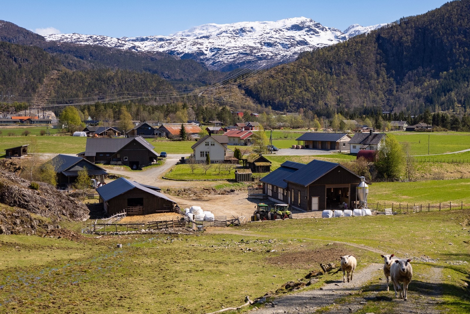 Oversiktsbilde gårdstunet Galleribilde