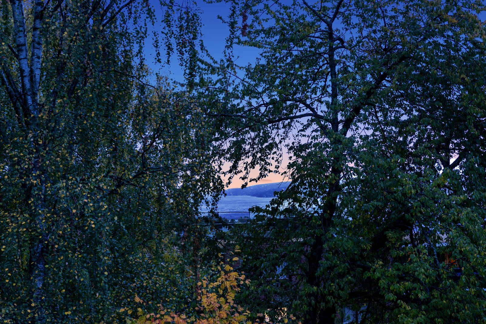 Fjordutsikt fra balkongen og naturskjønne omgivelser. Galleribilde