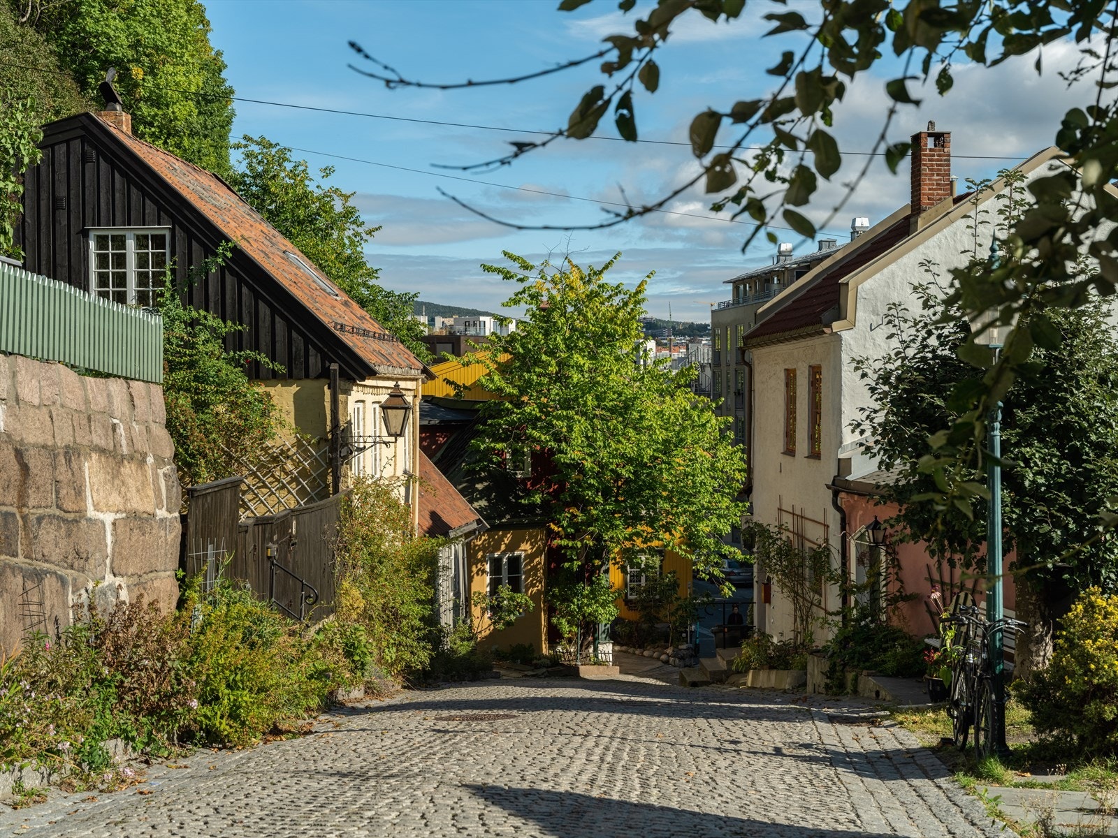 Det er også svært grønt og frodig! Galleribilde