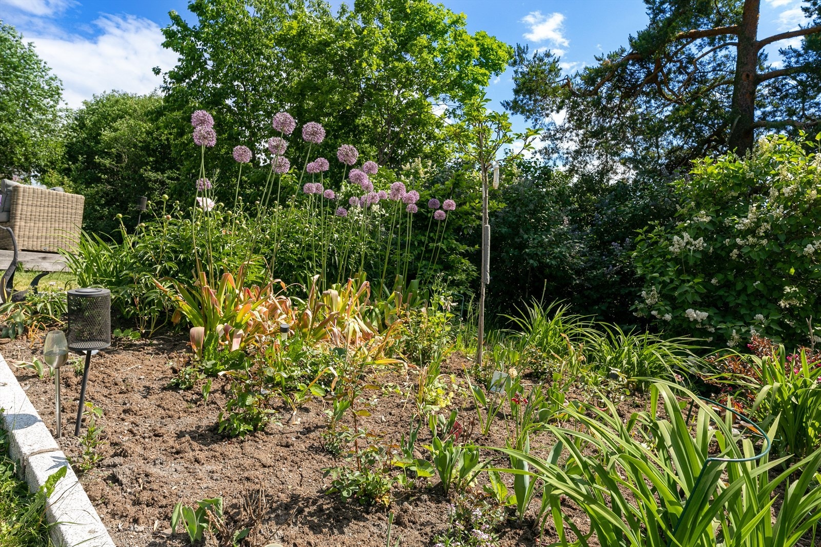 Pen opparbeidet hage Galleribilde