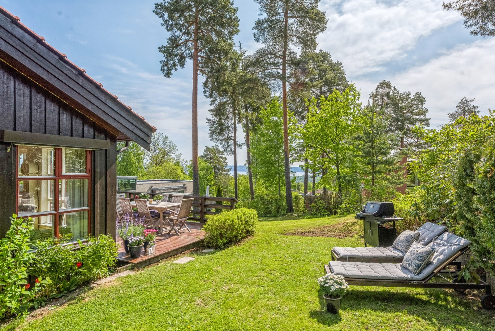 Nyt lange late sommerdager i hagen. Galleribilde