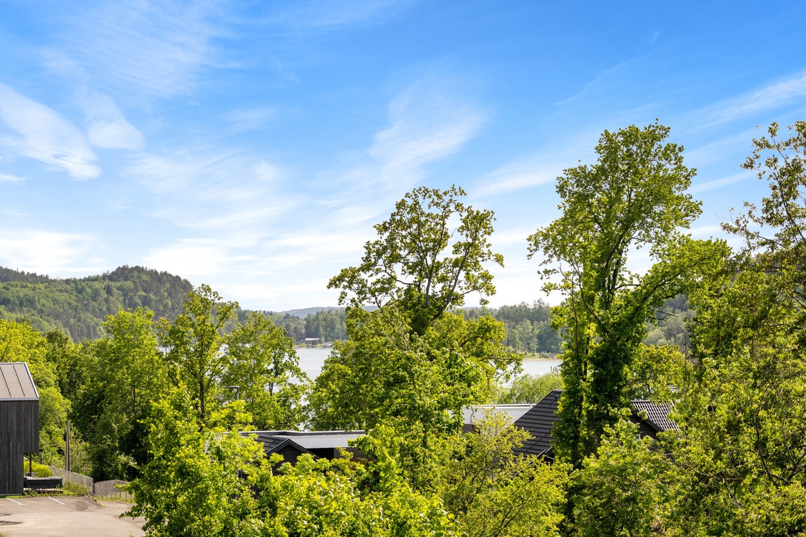 Flott utsikt mot sjøen Galleribilde