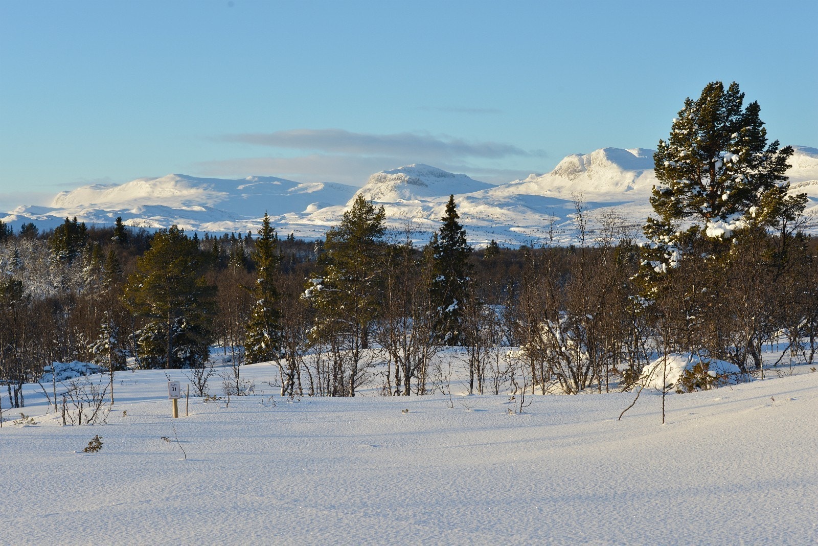 Utsikt fra tomt. Galleribilde