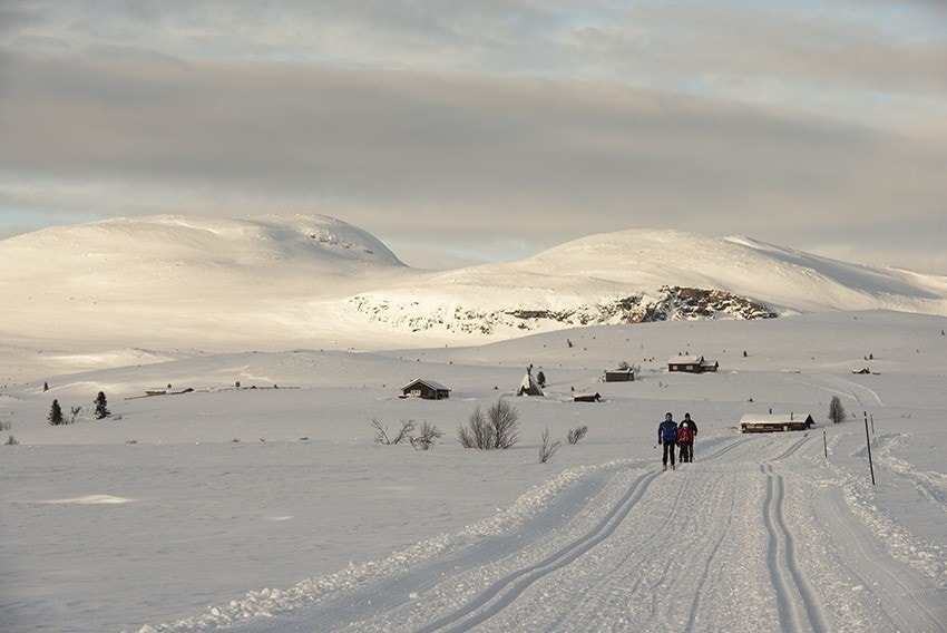 Skiløyper Grytingen Galleribilde