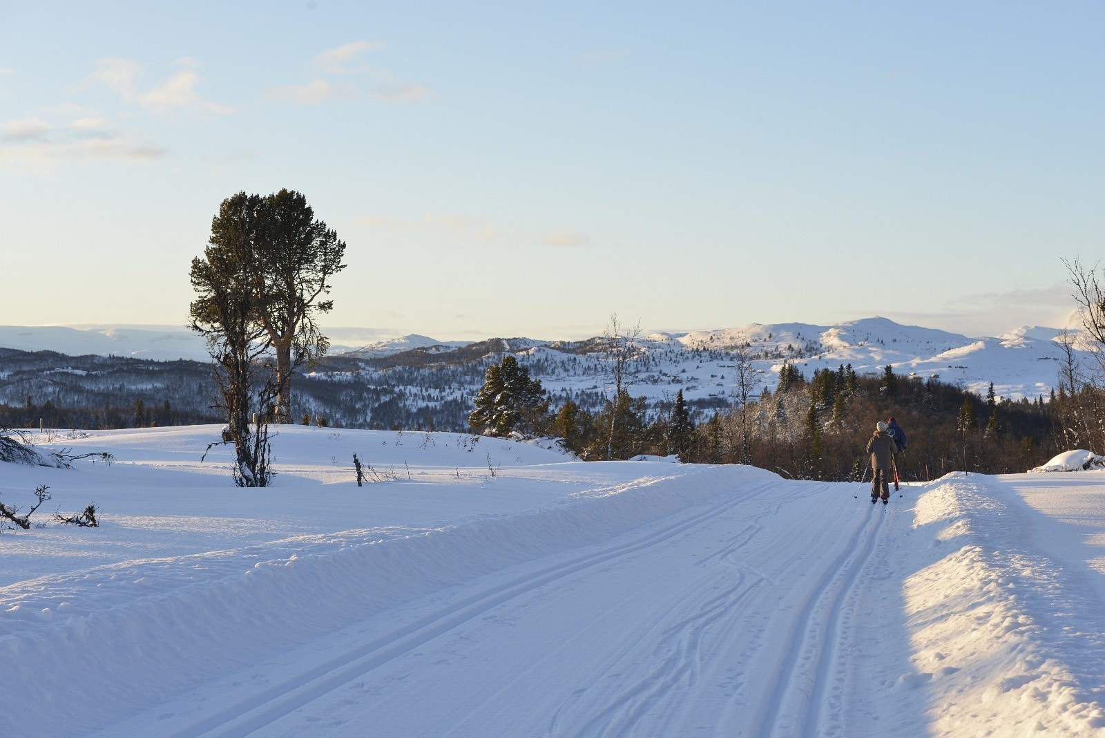 Skiløyper rett bak hyttefelt, Langrenn inn og ut! Galleribilde