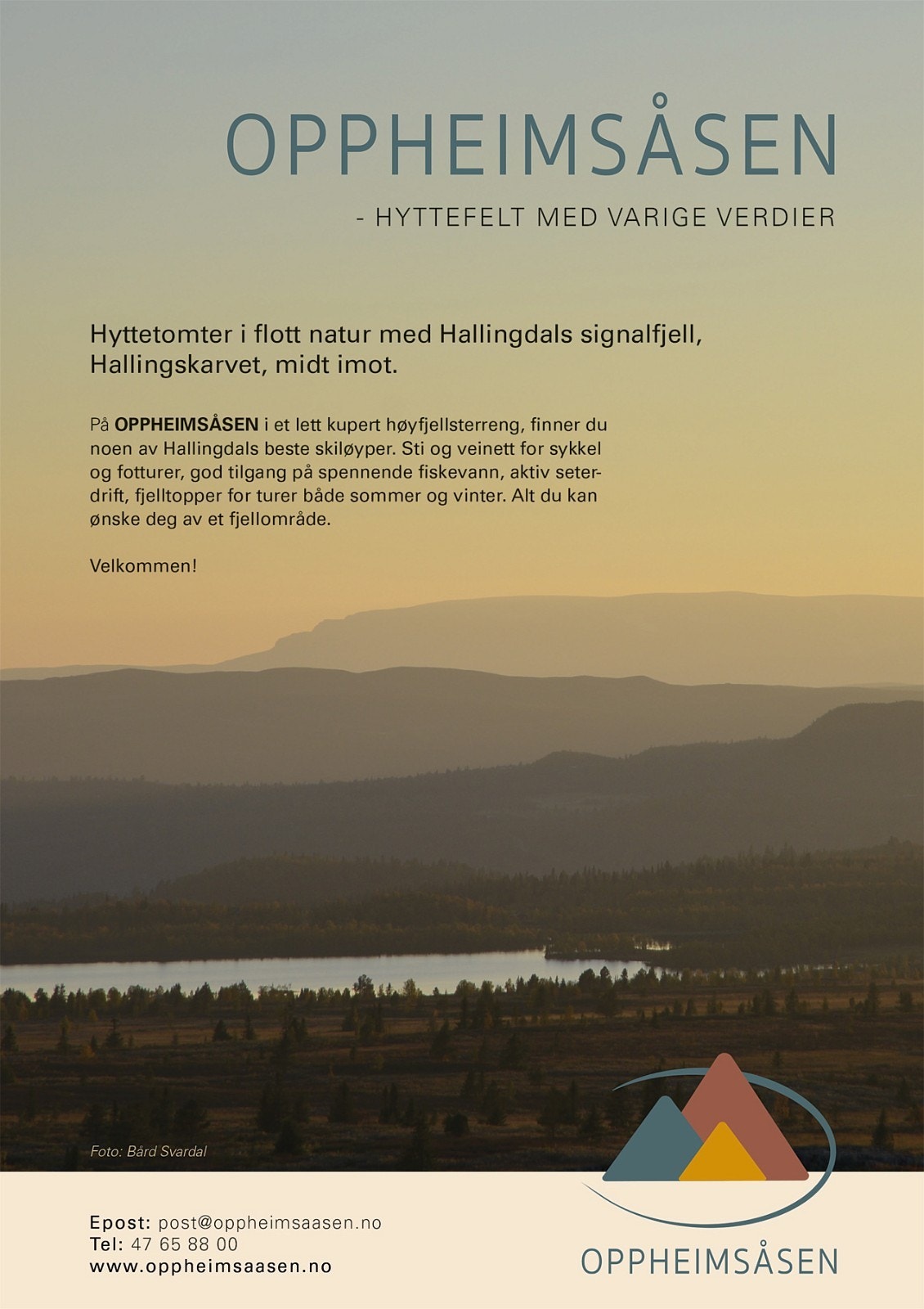 Annonse Galleribilde