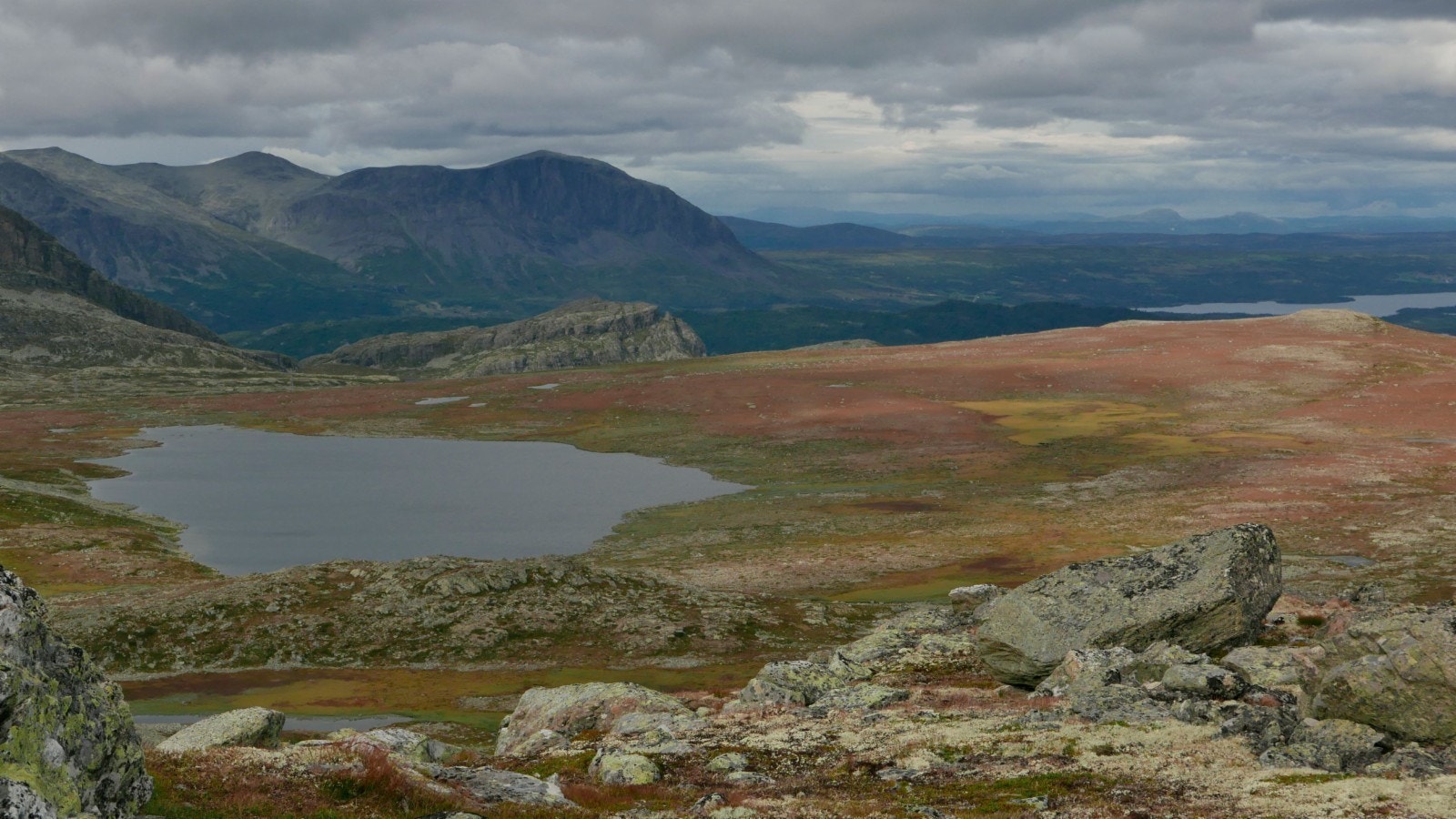 Sommertur Galleribilde