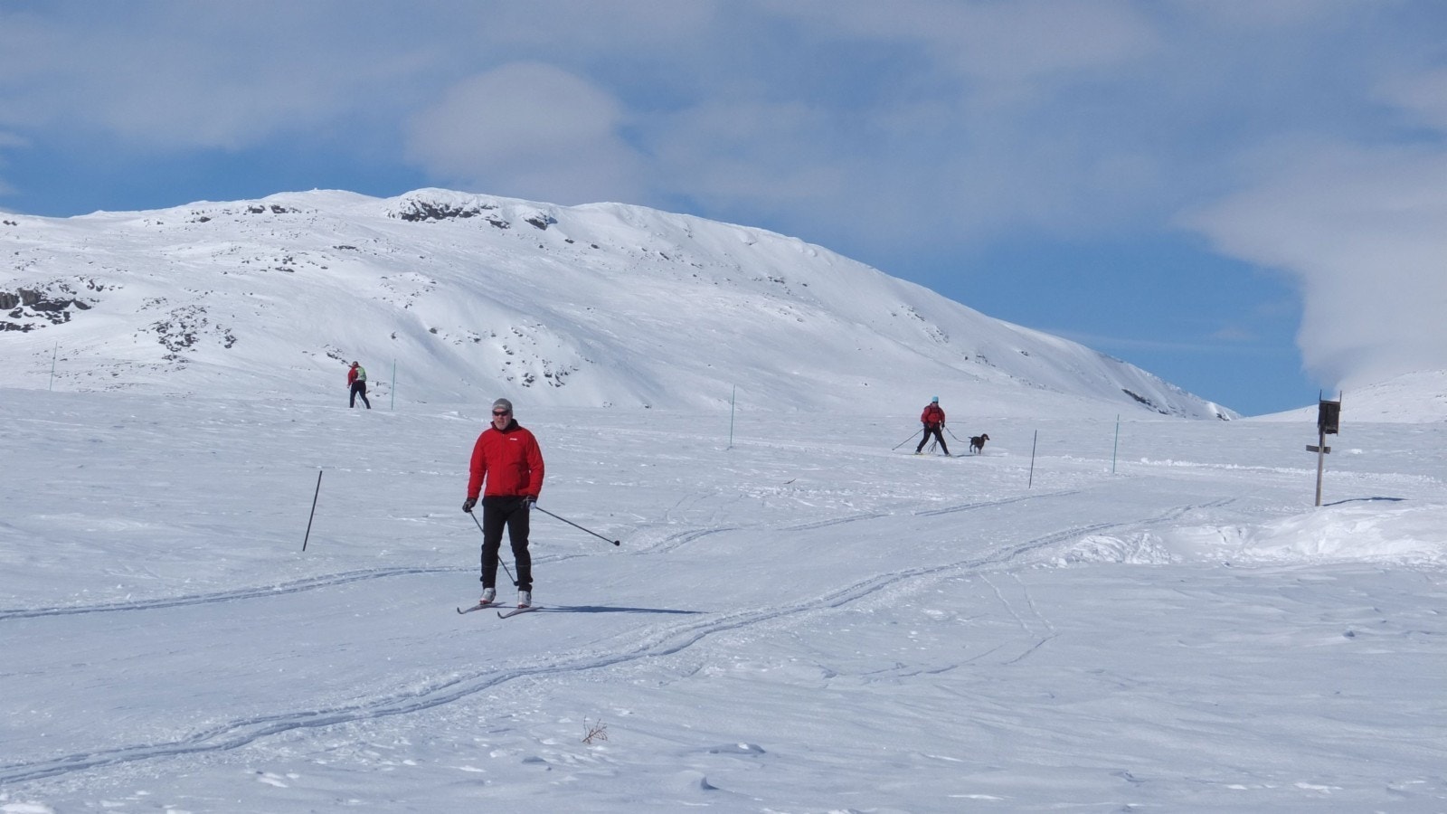 Et stort løypenett Galleribilde