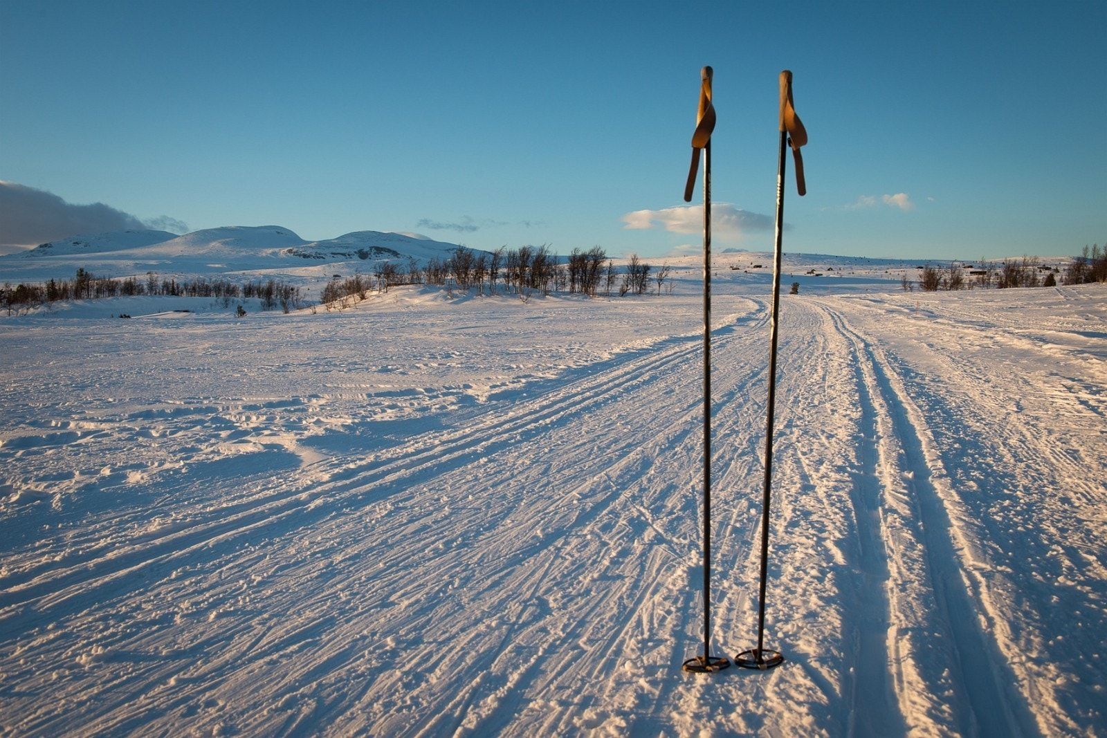 Grytingen soim toppturmål Galleribilde
