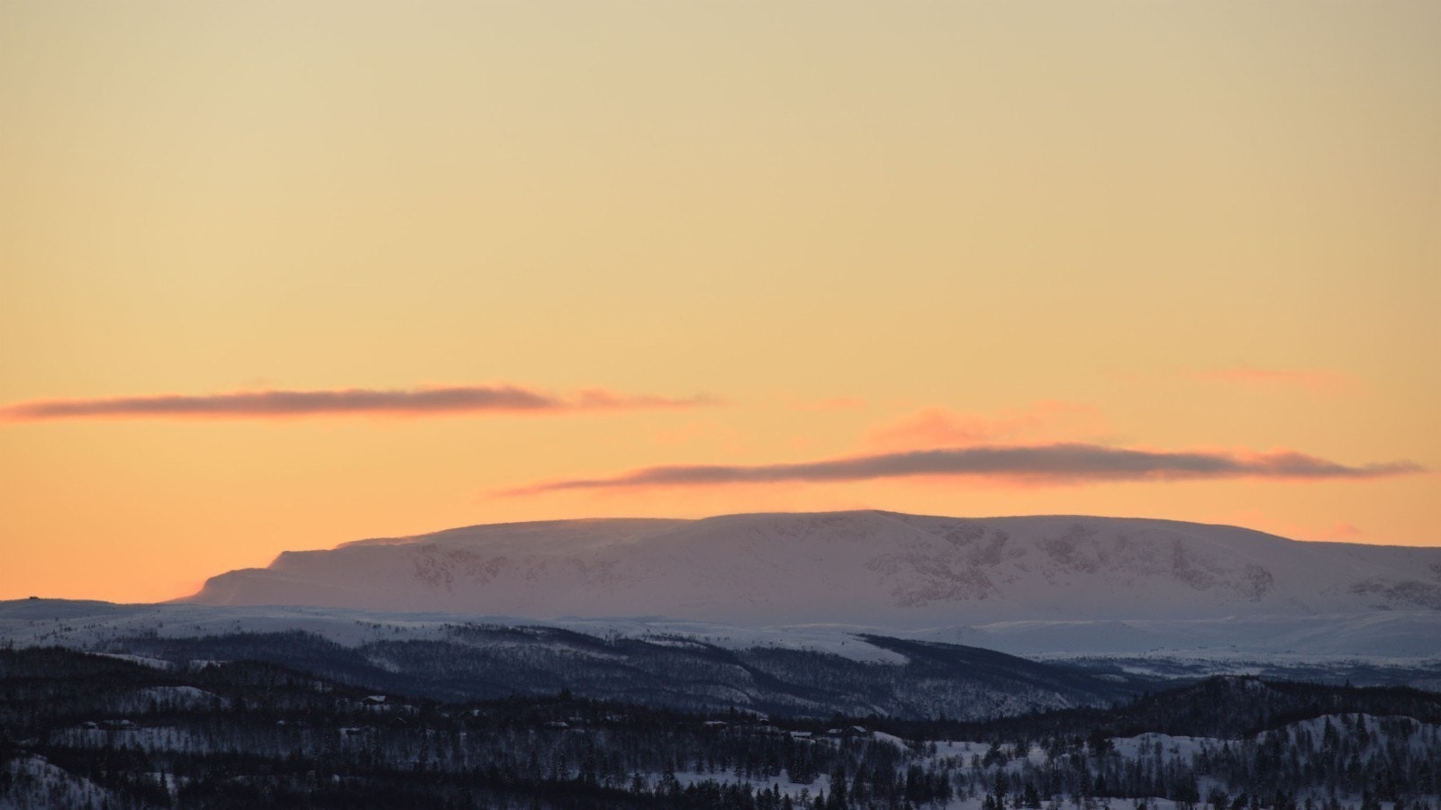 Utsikt mot hallingskarvet. Galleribilde