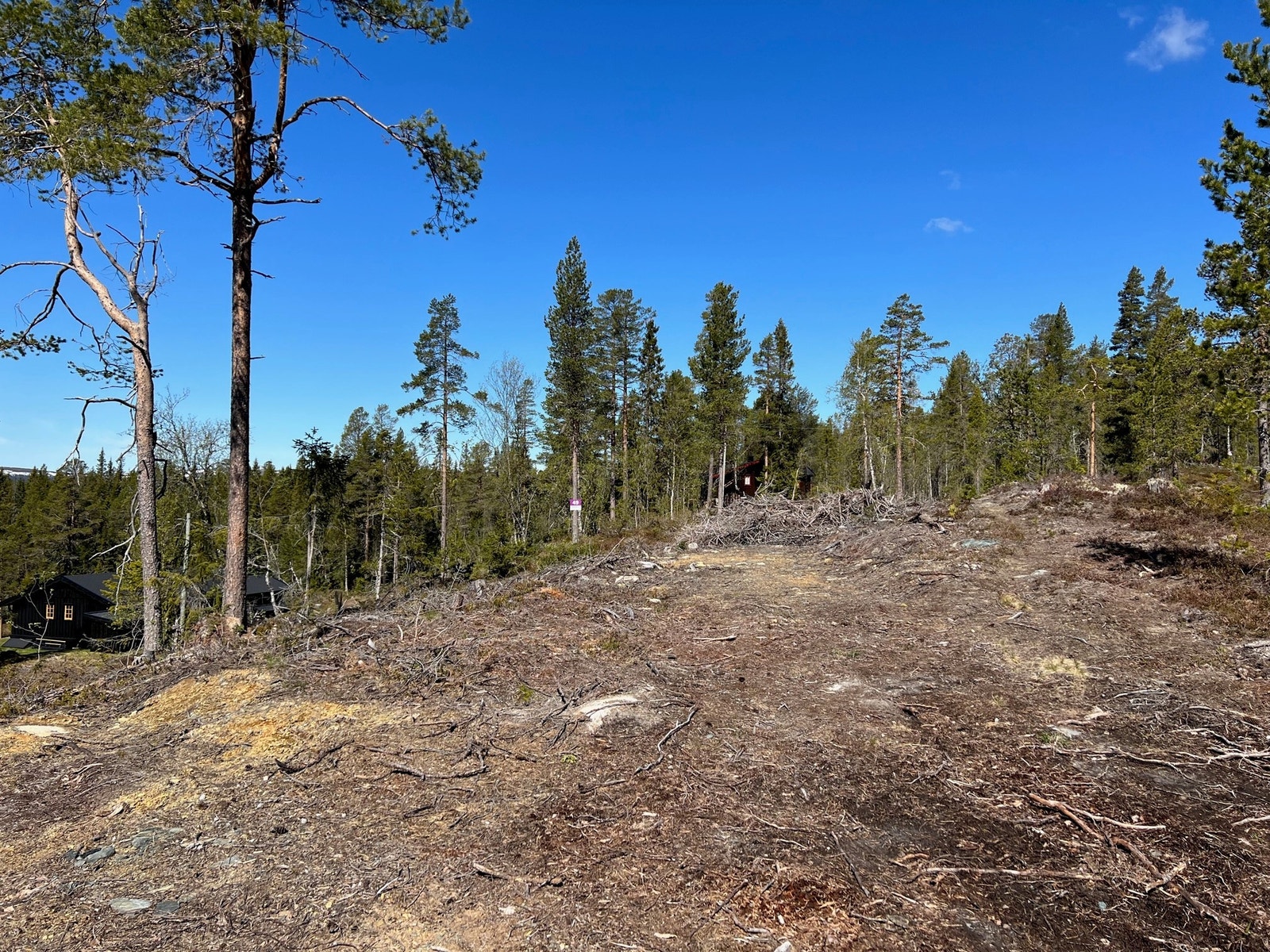 Bilde fra tomt 49 Galleribilde
