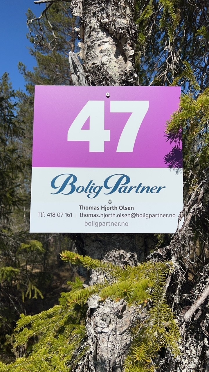 Tomt 47 Galleribilde