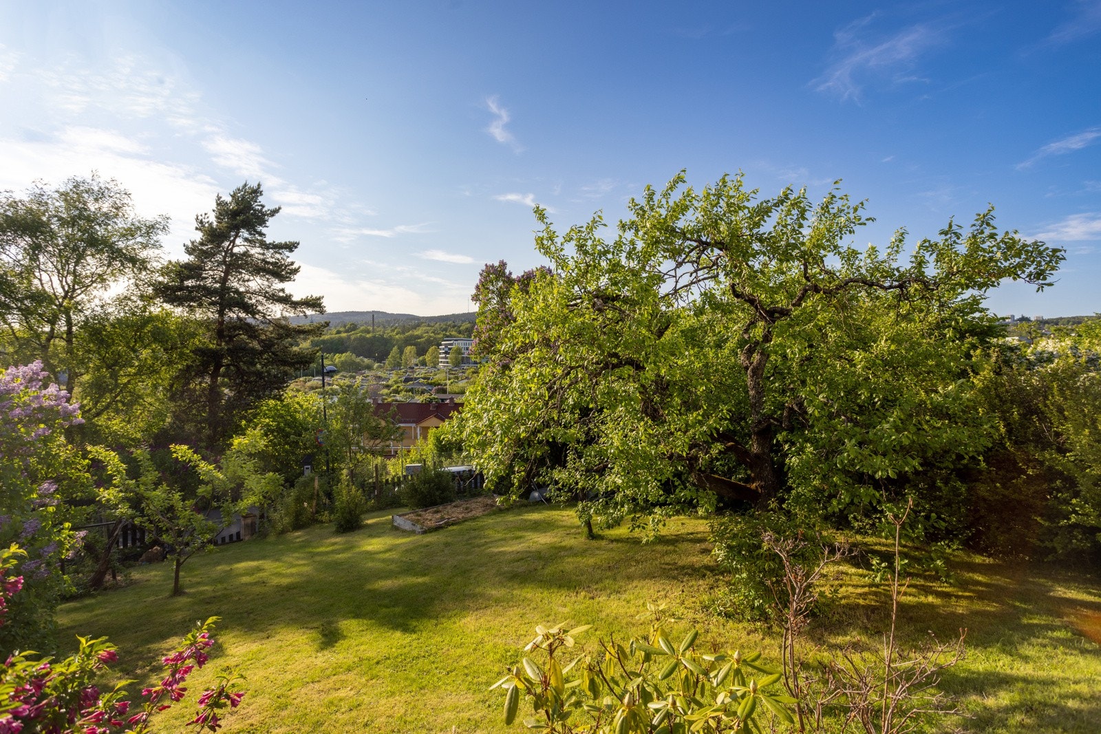 Uterområdet er omkranset av frodig og vakker beplantning som skaper en skjermet tilværelse. Galleribilde