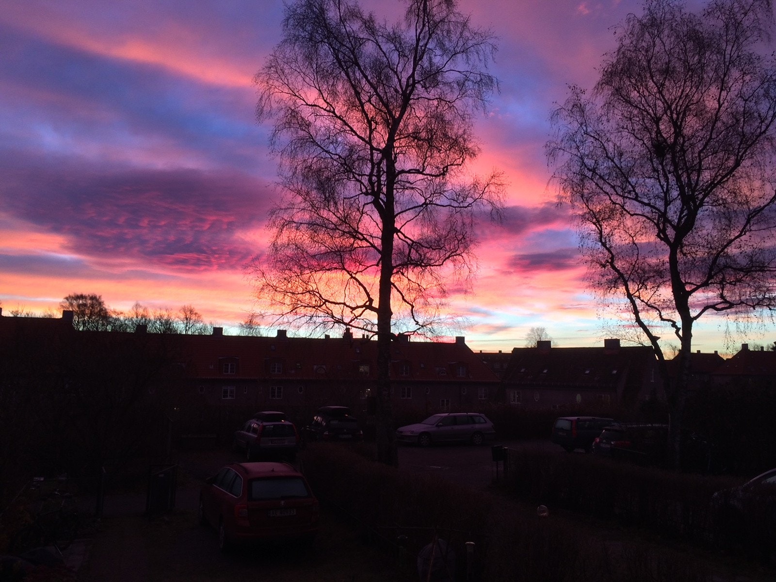 Selgers eget bilde. Høsthimmel tidlig morgen - fra hovedsoverommet. Galleribilde