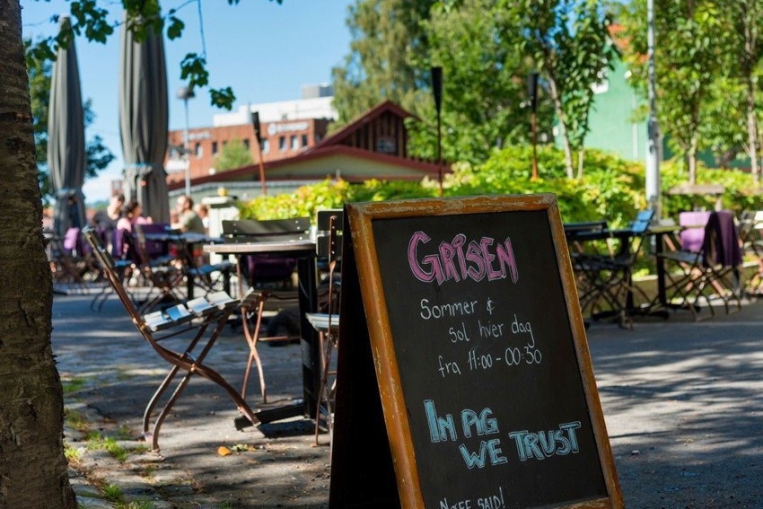 Populære Grisen Galleribilde