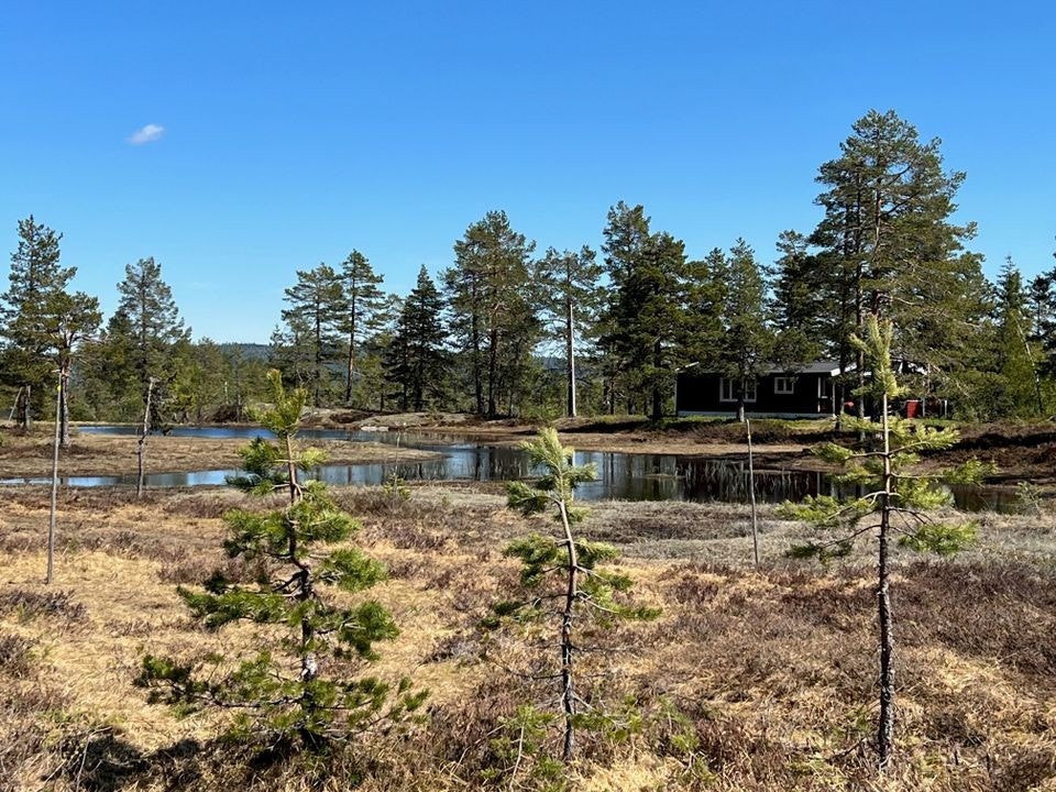 Områdebilde Galleribilde