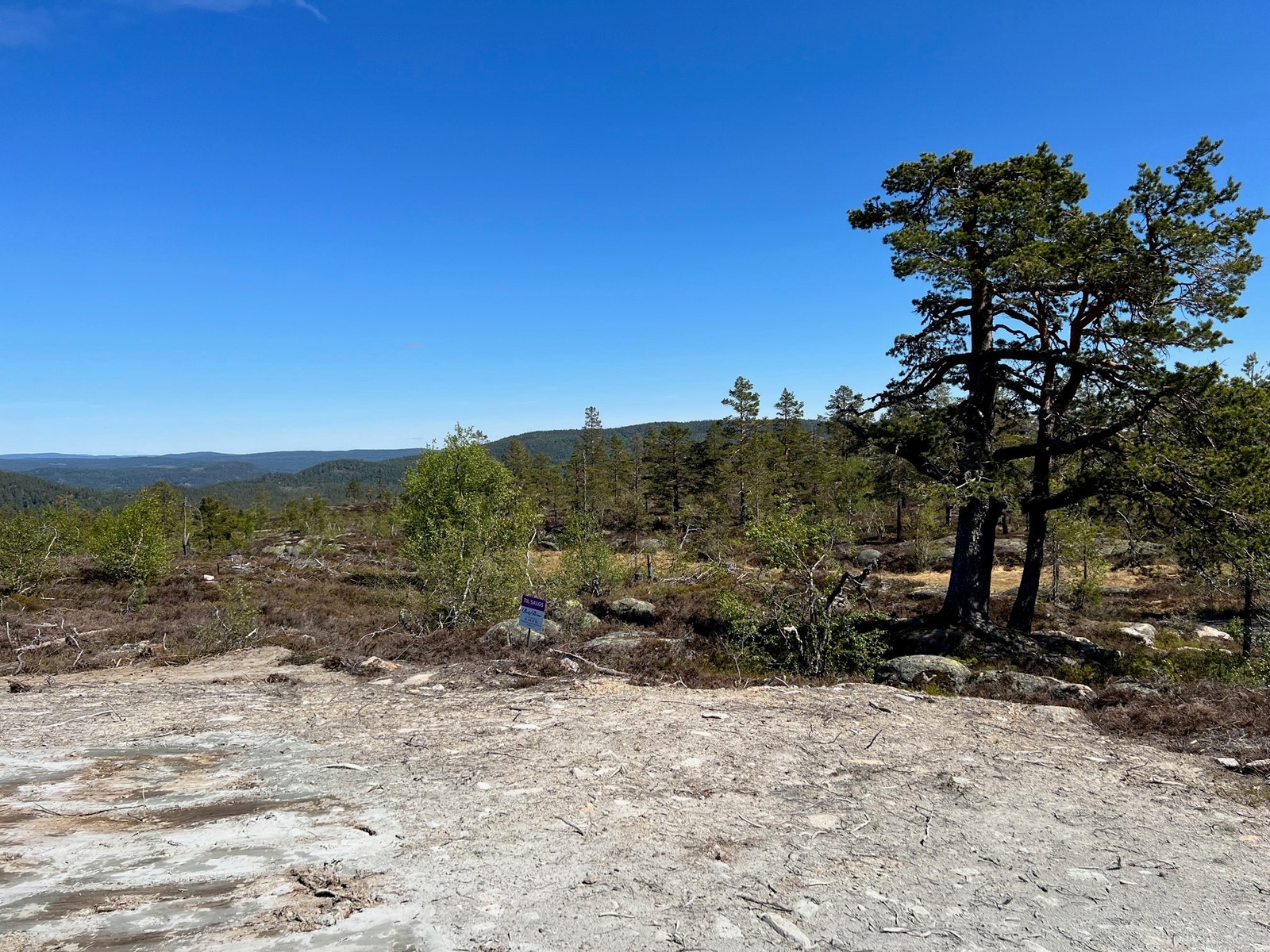 Fra tomt D78 Galleribilde