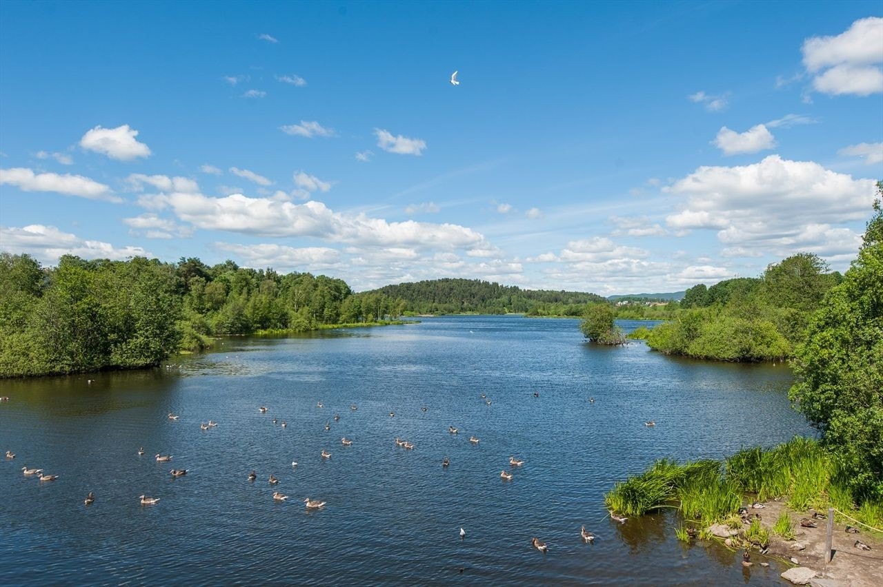 Området har sin egen turløype. Lokale turstier bringer en også videre til Østensjøvannet med flotte turstier. Unikt fugleliv med over 200 forskjellige fuglearter. Galleribilde