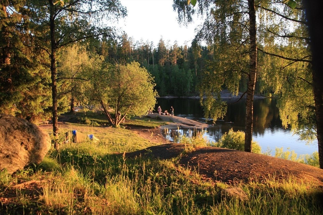 Nærhet til østmarka. Galleribilde
