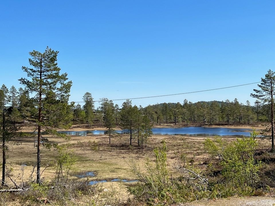 Nærområde Galleribilde