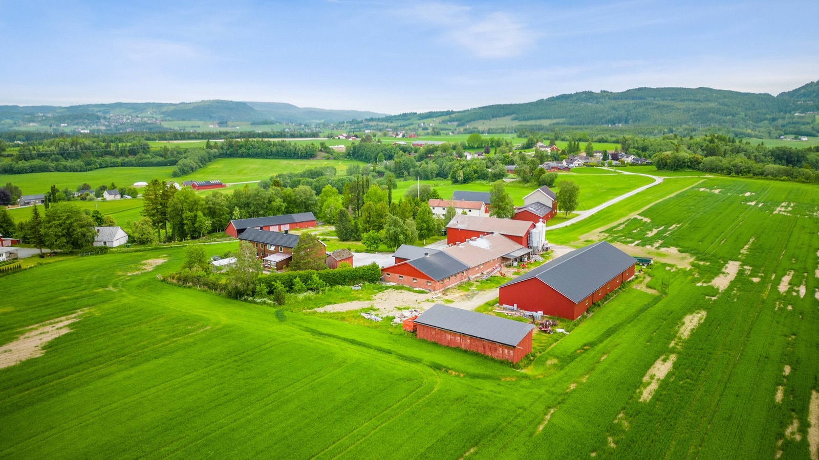 Oversikt over Moe søndre. Stort redskaphus på 600 kvm til høyre i bildet. Dette deles med nabo. Galleribilde