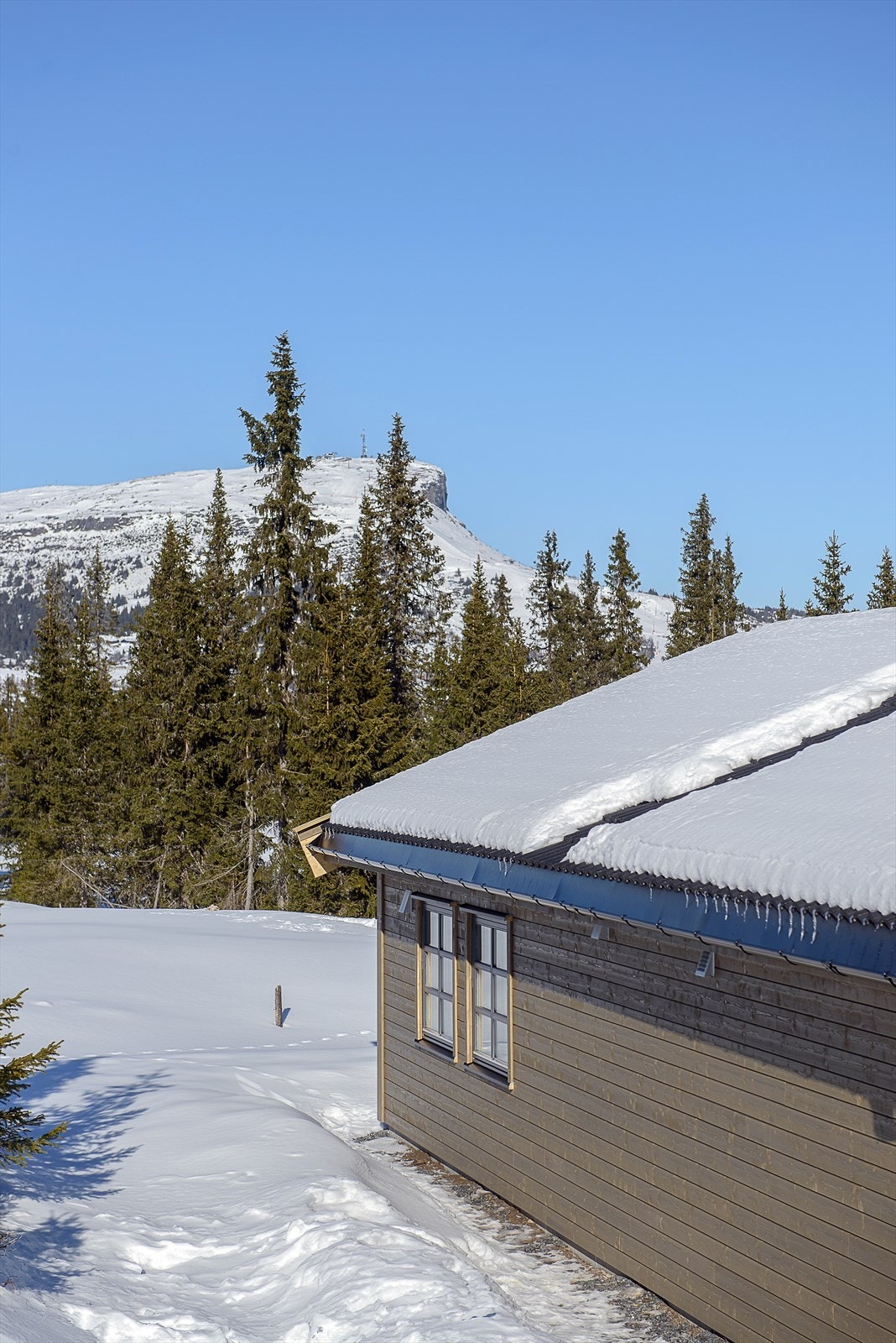 Skeikampen/Austlid byr på flere aktivitetsmuligheter sommer som vinter Galleribilde