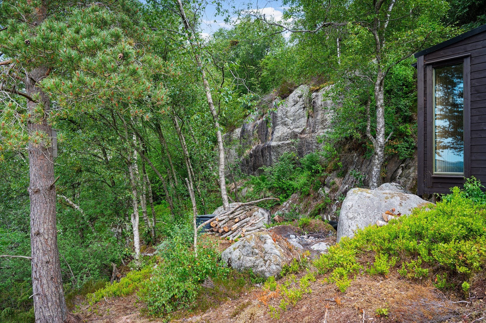 Hytta ligger rett i naturen Galleribilde