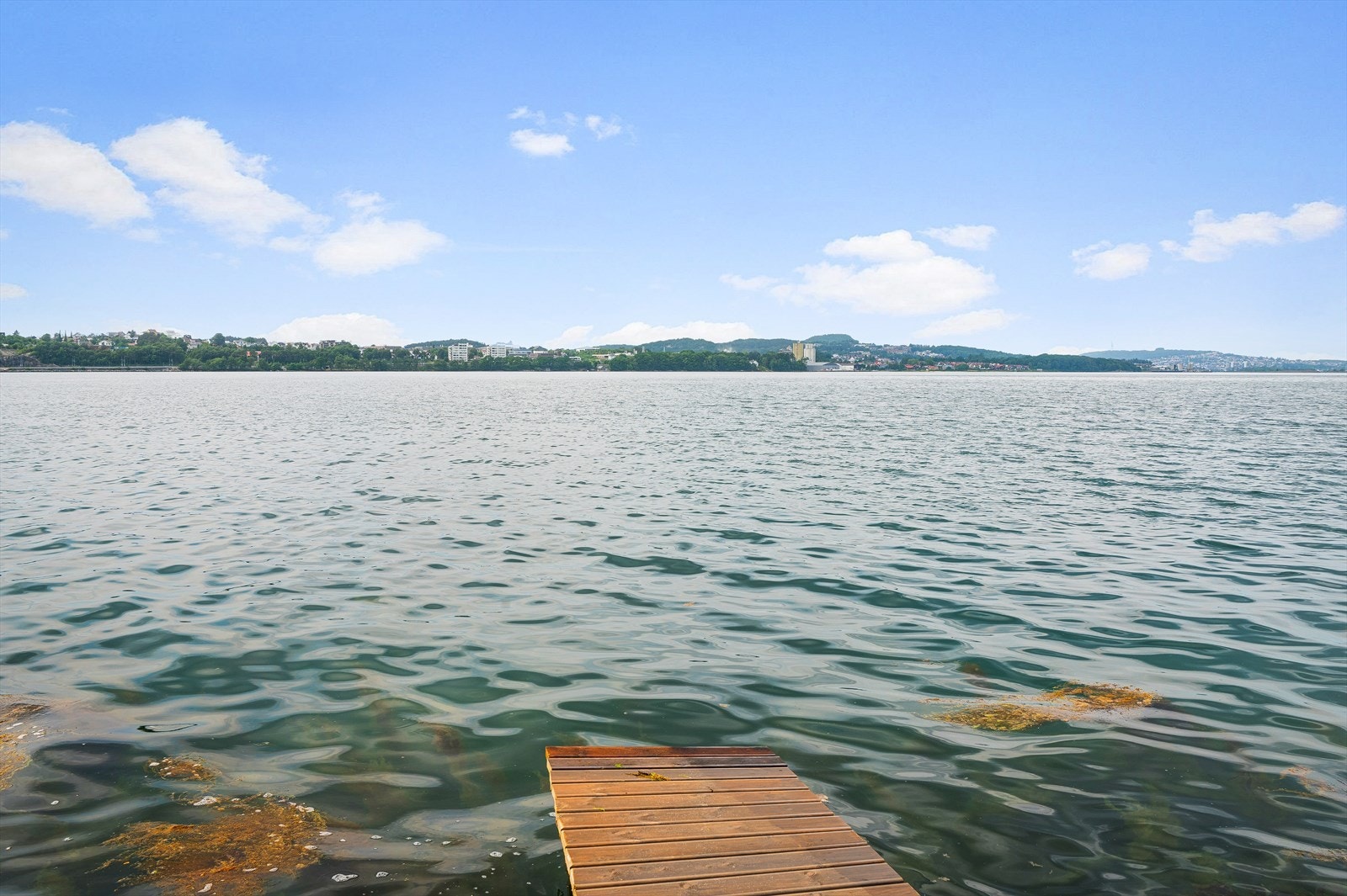 Nærområdet Galleribilde