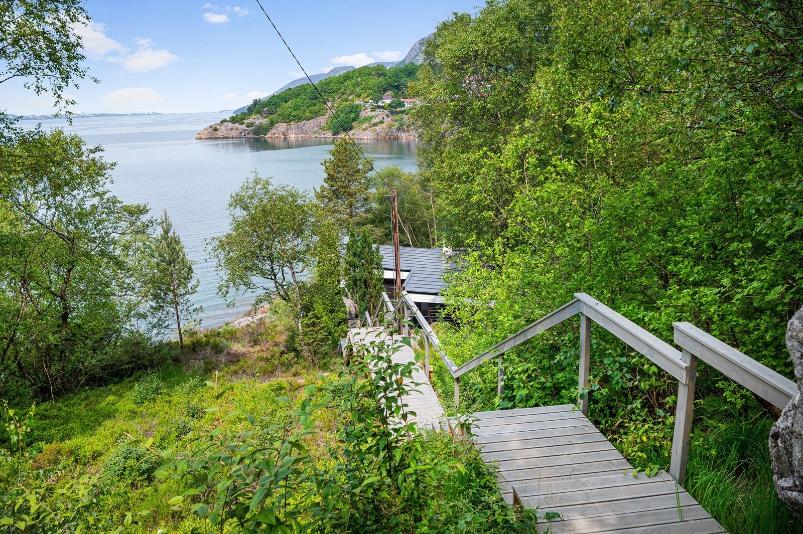Lang trapp i tre som fører ned til eiendommen Galleribilde