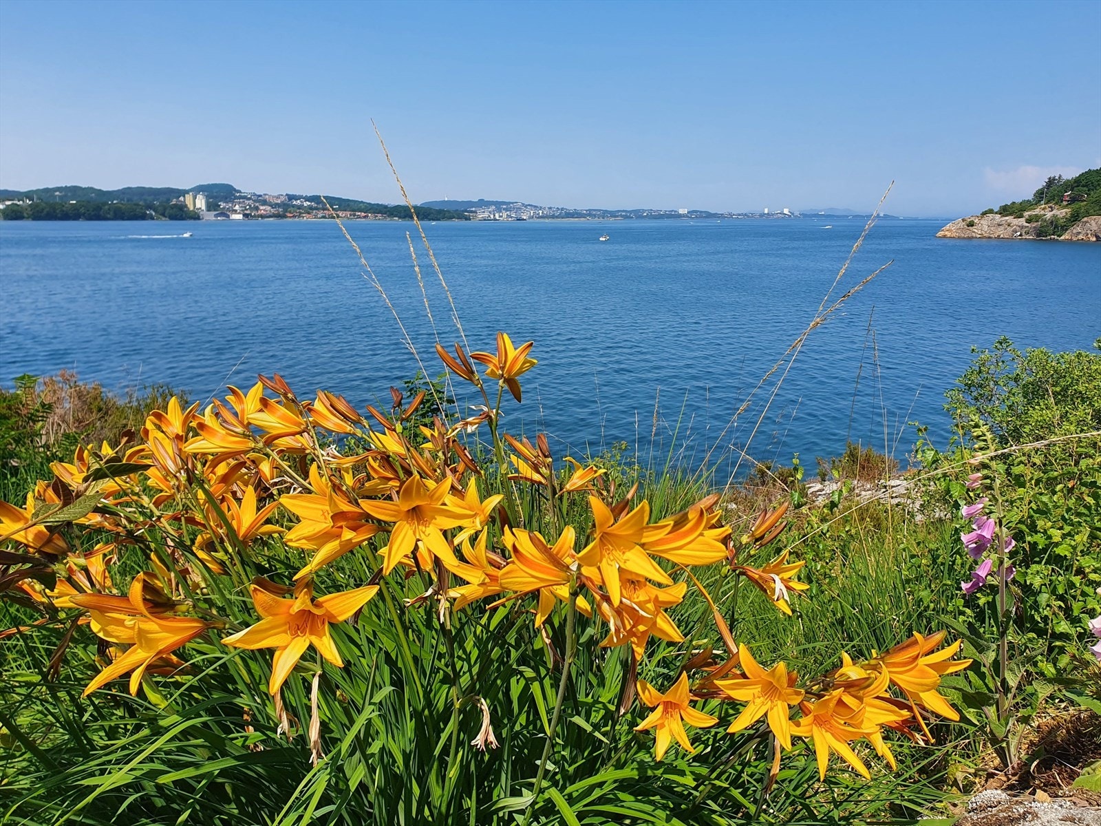 Detaljebilde med utsikt Galleribilde
