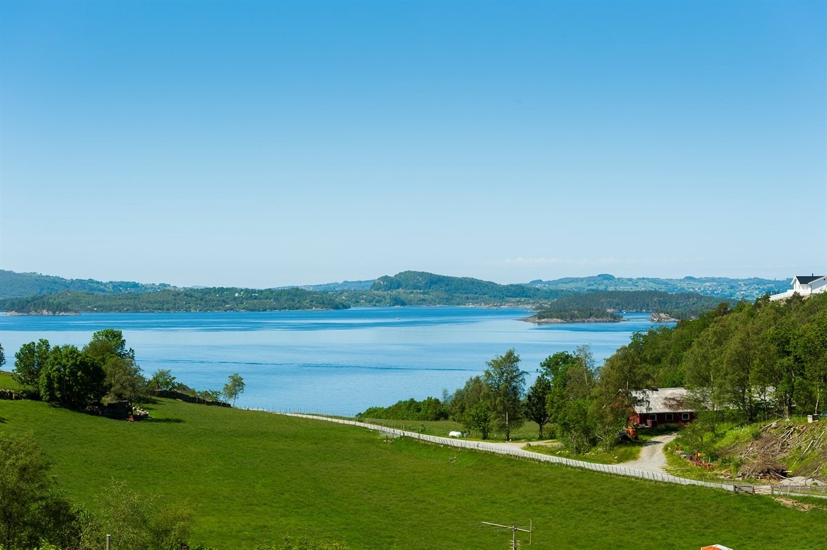 3425592_1-jasdbb1.jpg Galleribilde