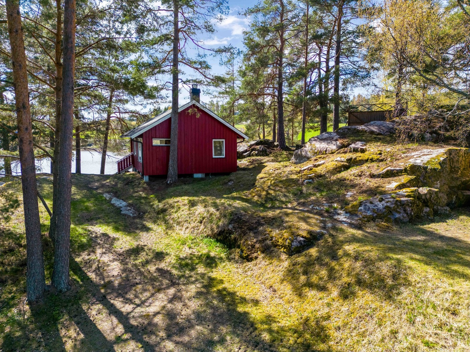 Hytta ligger skjermet til med furuskog rundt seg Galleribilde