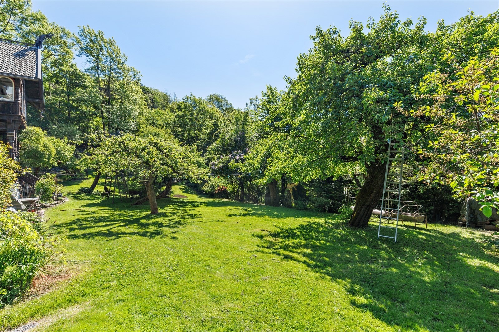 Felles hage som er pent opparbeidet med gressplen, diverse beplantning og sittebenker. Galleribilde