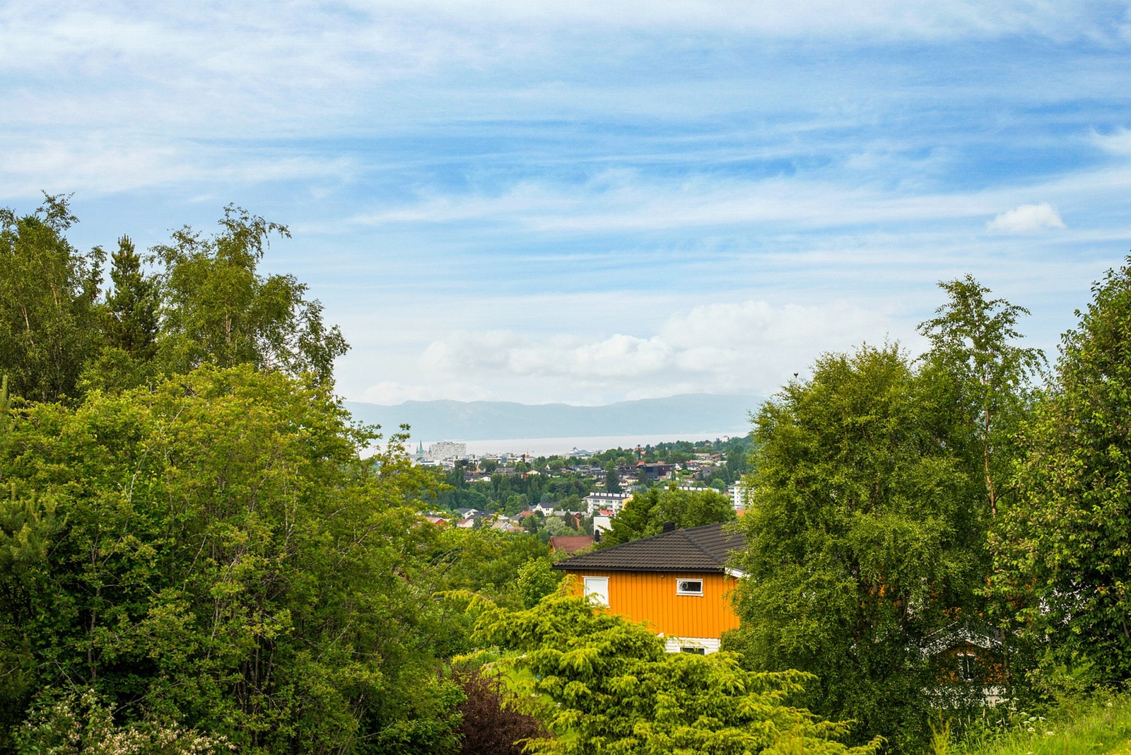 Utsikt. Galleribilde