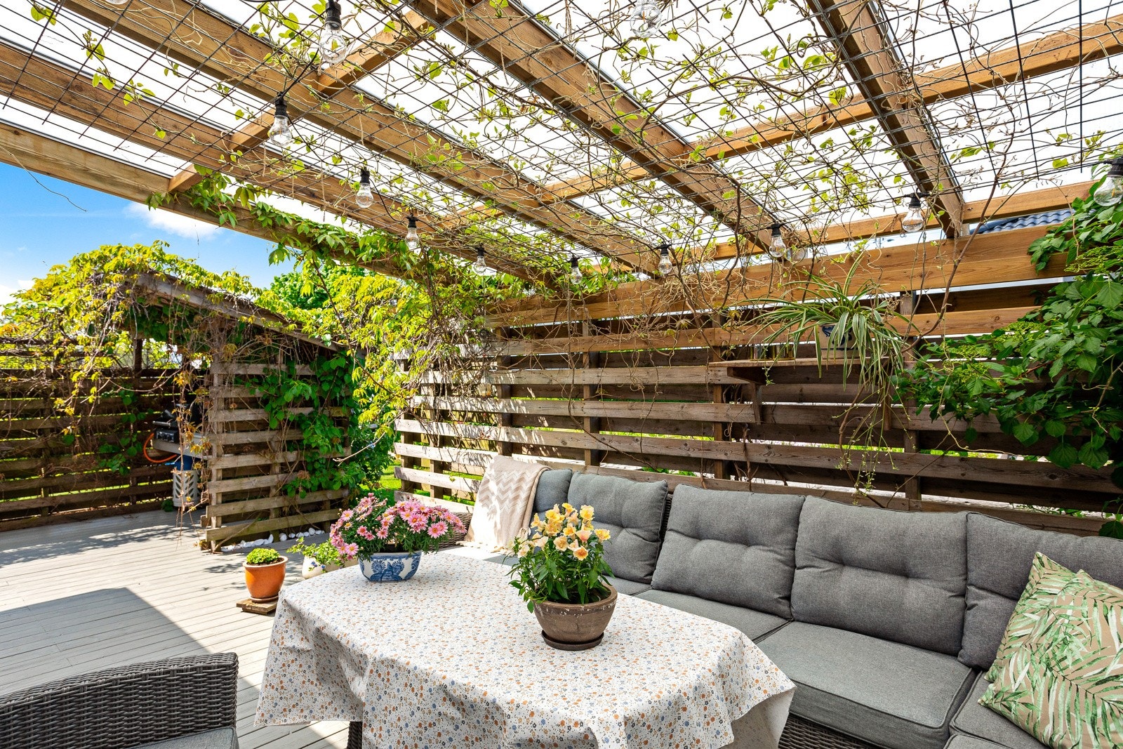 Terrasse Galleribilde